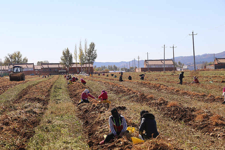 й7790ط(ɷ)޹˾-ٷվ