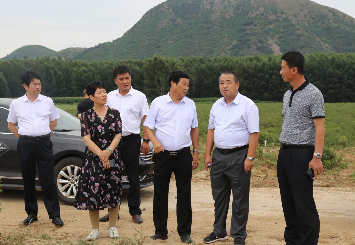 й7790ط(ɷ)޹˾-ٷվ